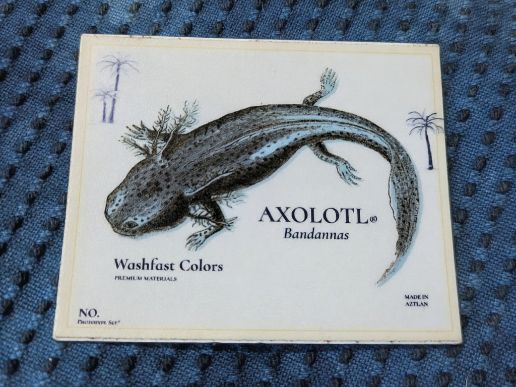 Axolotl Sticker + Charcoal Sketch