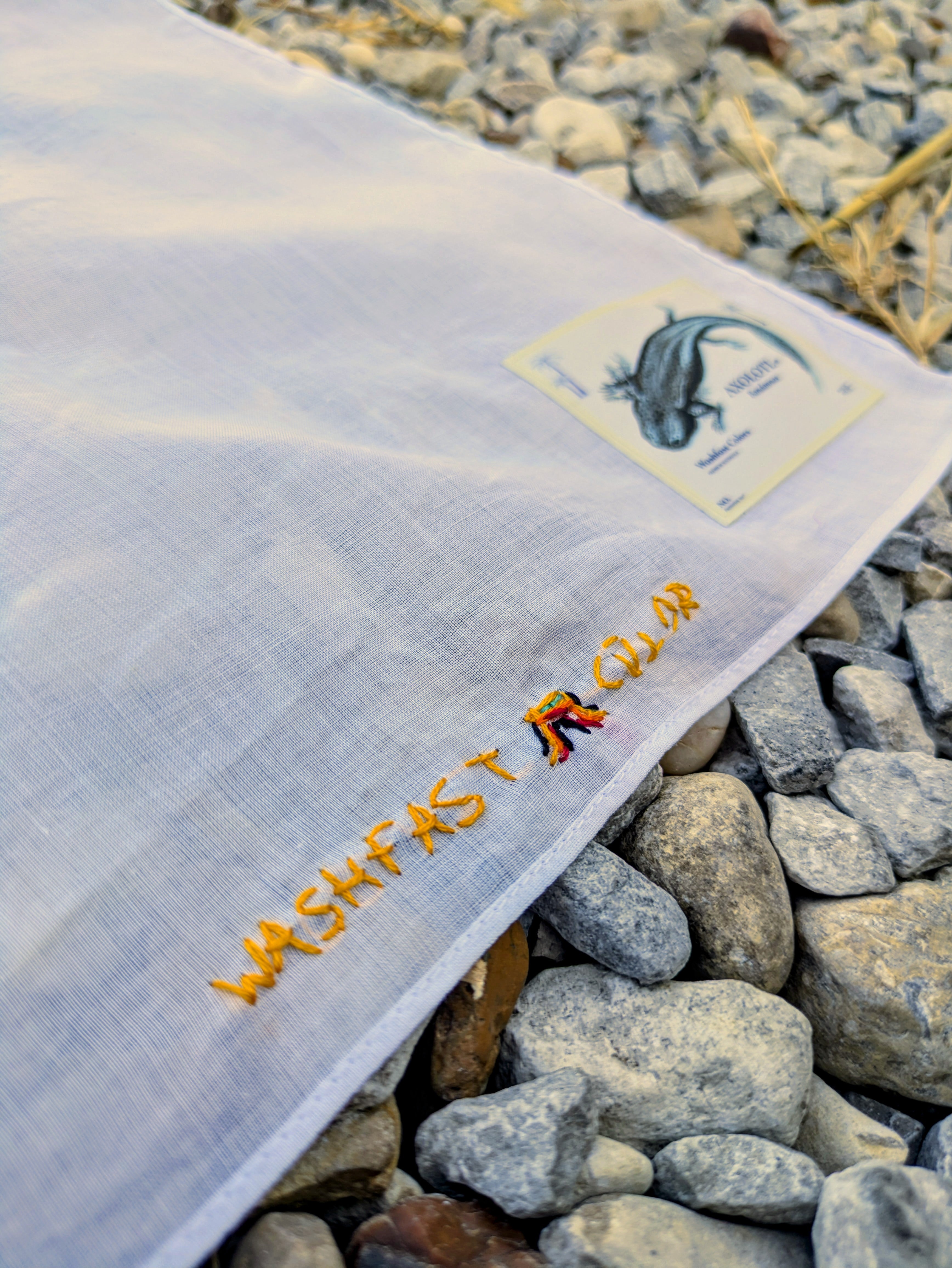 Yellowstone Caldera - Bandanna