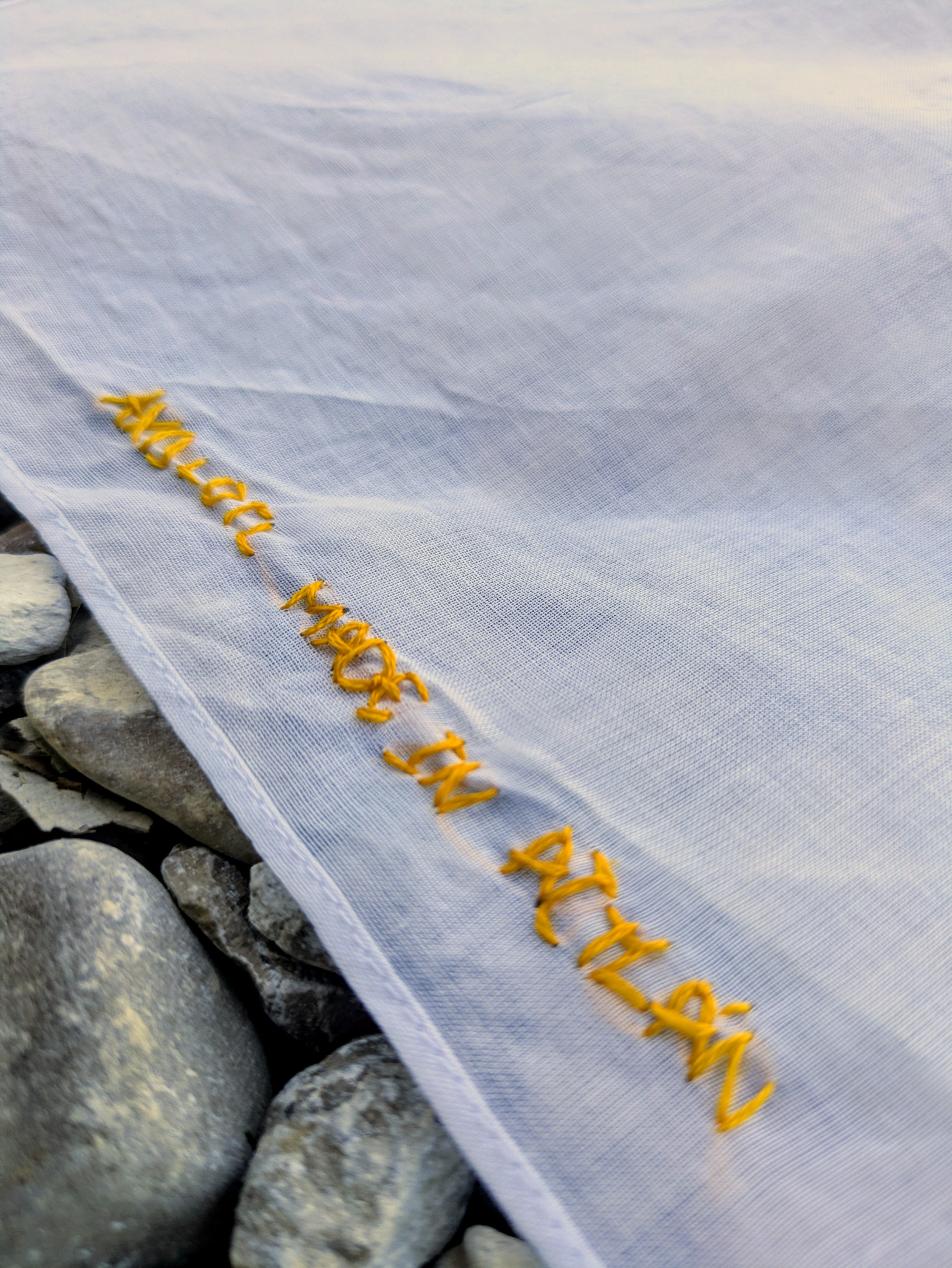 Yellowstone Caldera - Bandanna